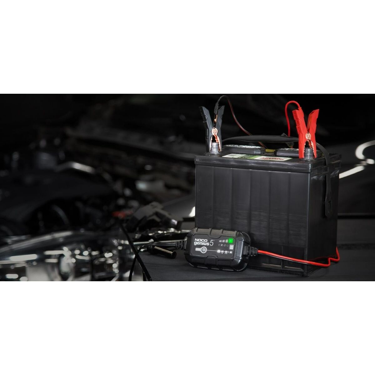Battery charger Noco GENIUS5EU 75 W-6