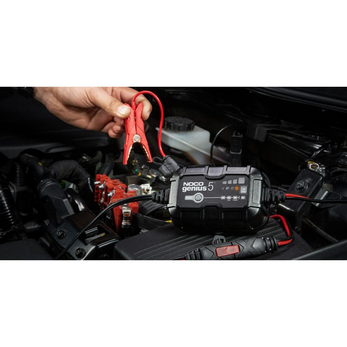 Battery charger Noco GENIUS5EU 75 W-4